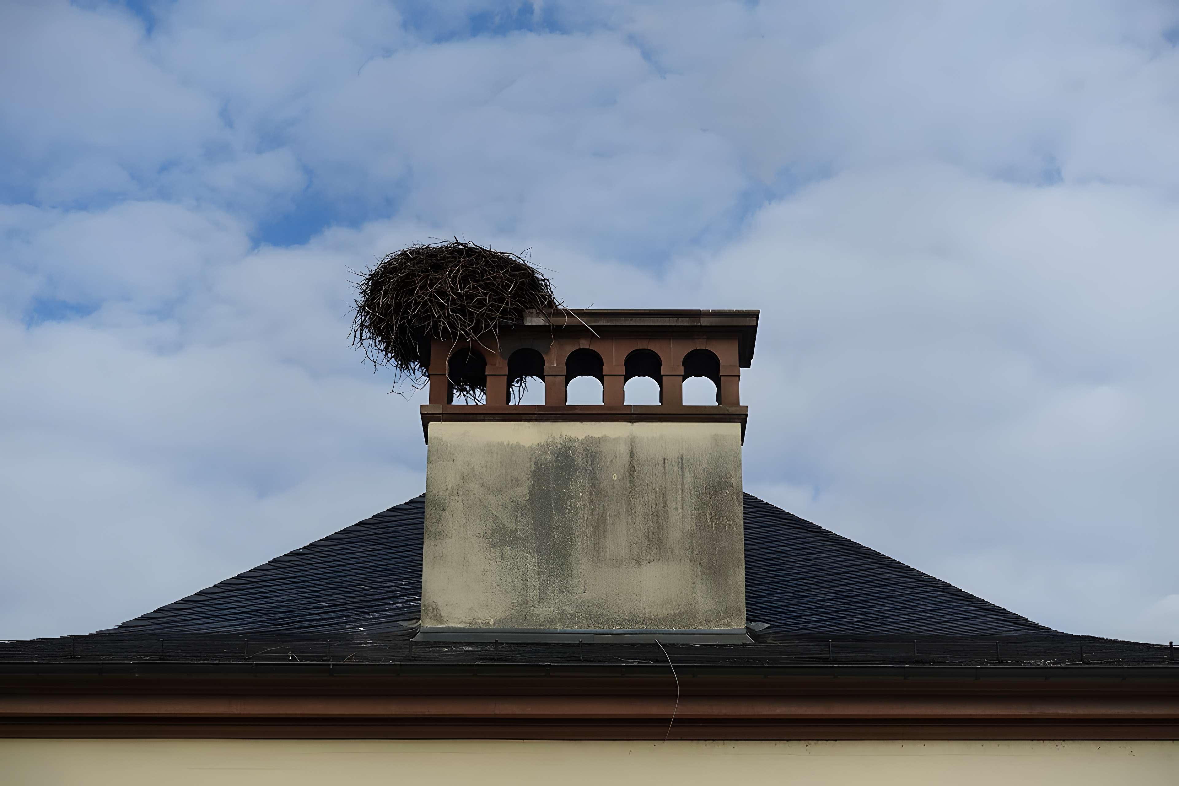 Parc de l'Orangerie à Strasbourg