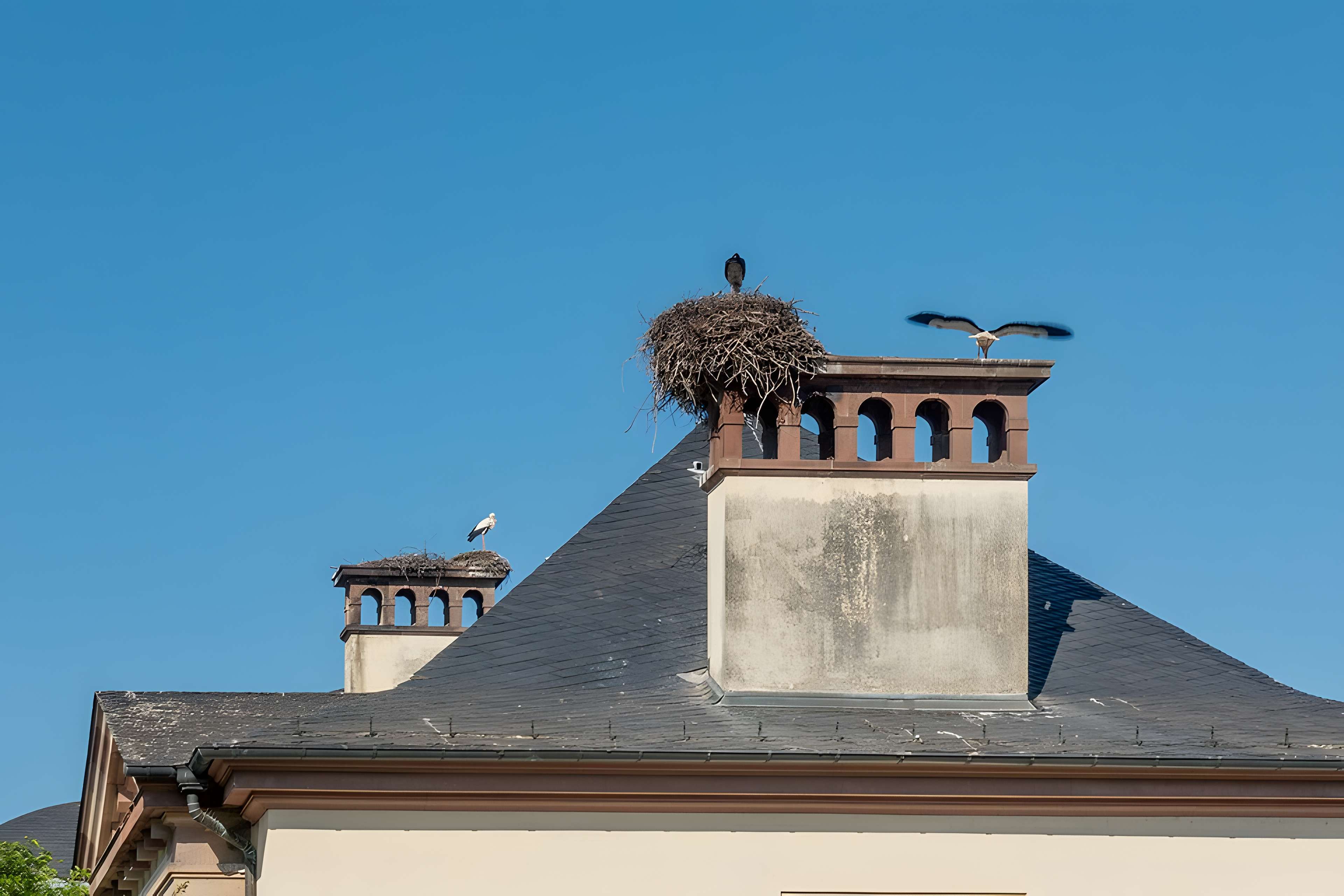 Parc de l'Orangerie à Strasbourg