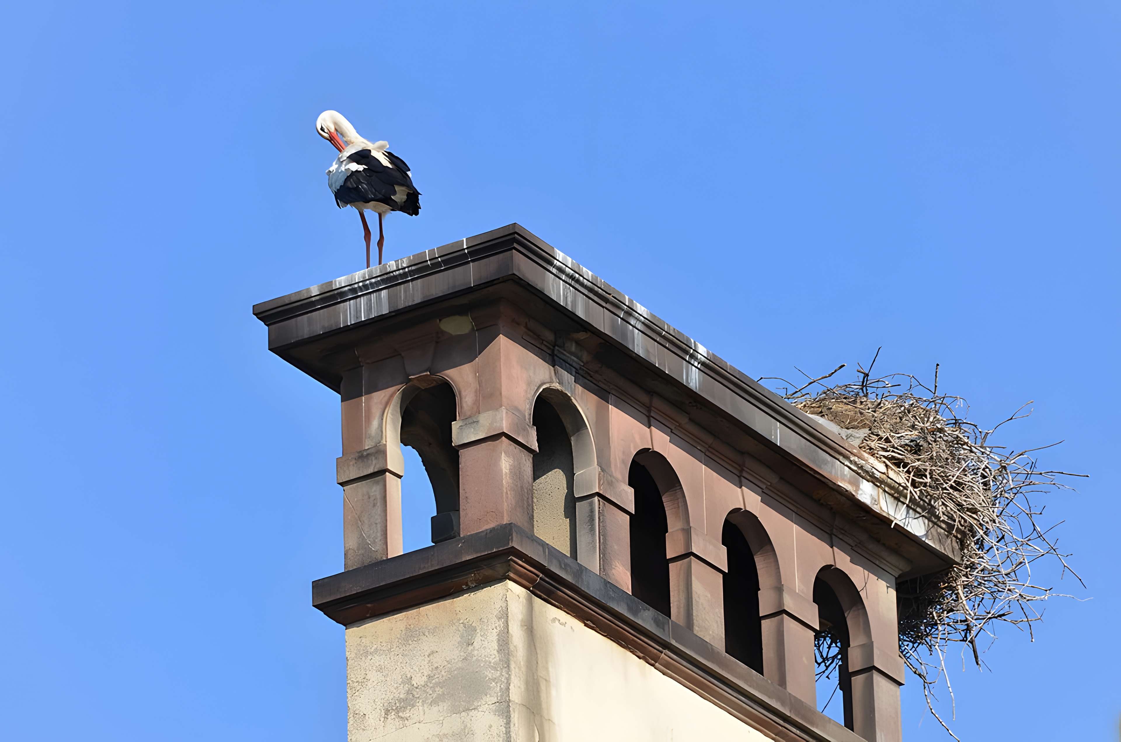 Parc de l'Orangerie à Strasbourg