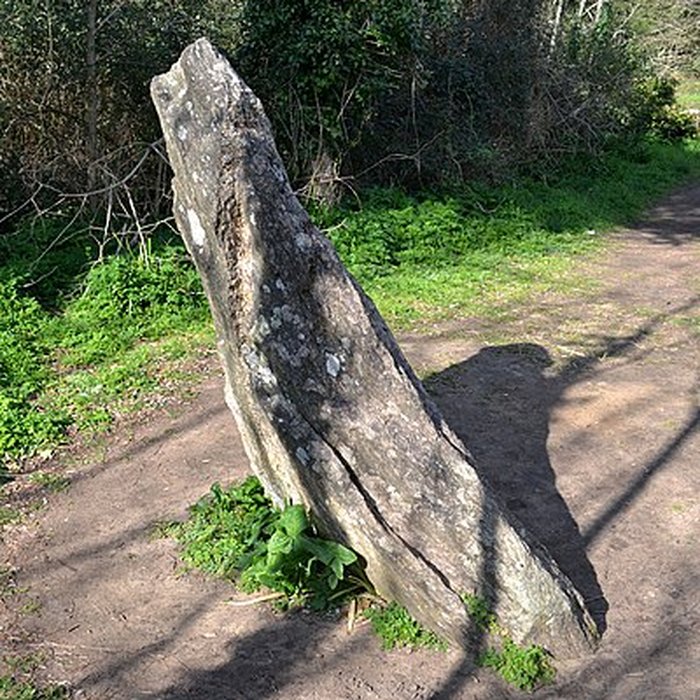 Photo de Menhir dit La Conche-Verte