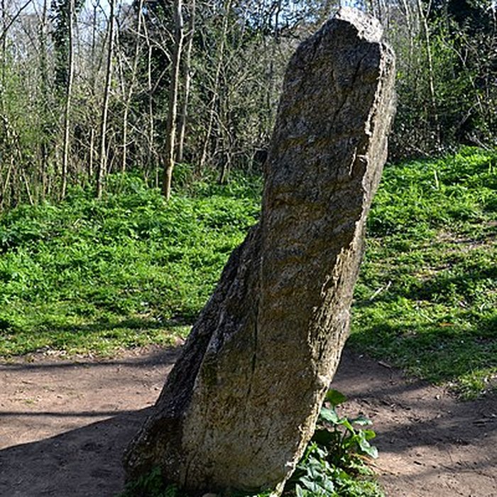 Photo de Menhir dit La Conche-Verte
