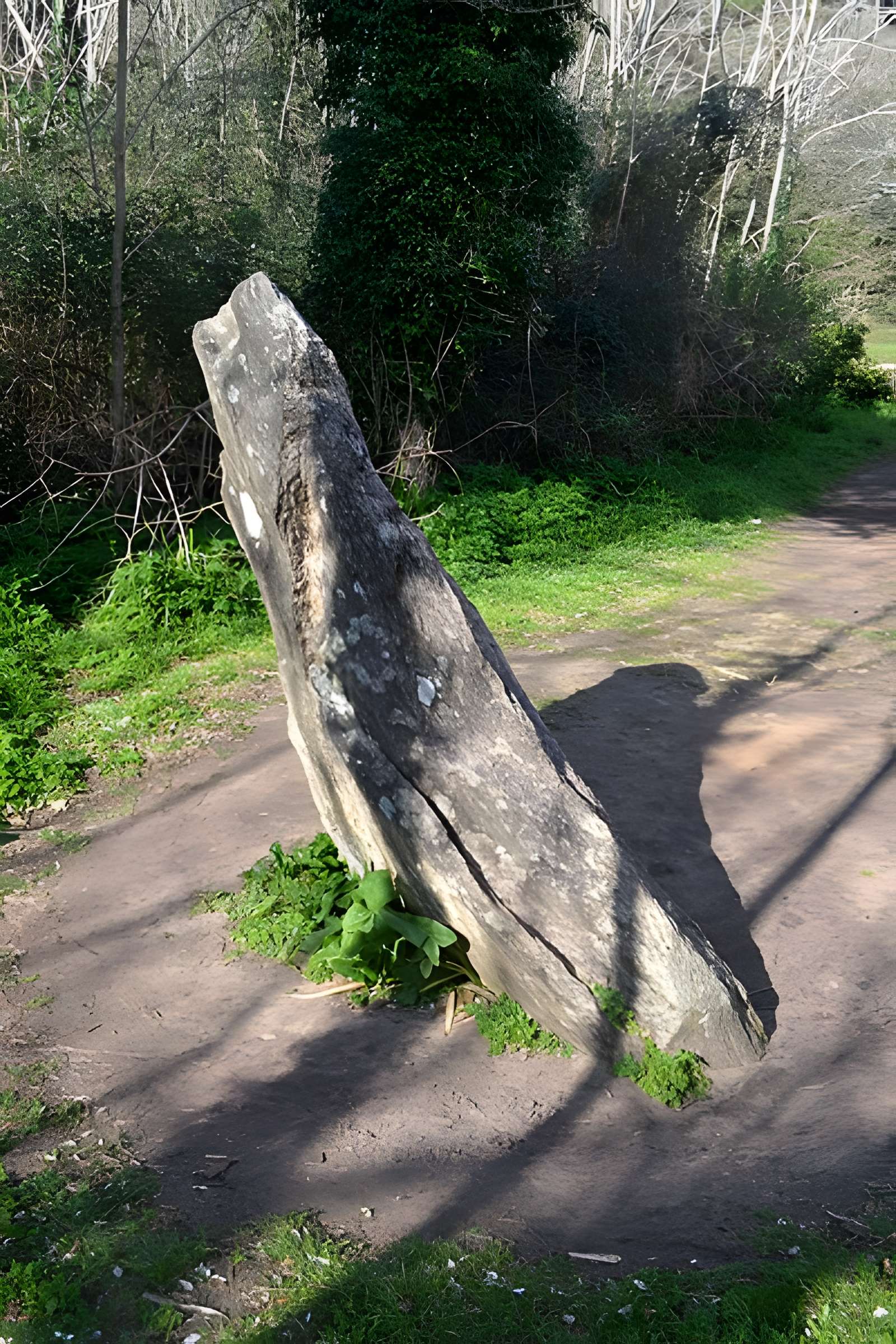Menhir dit La Conche-Verte
