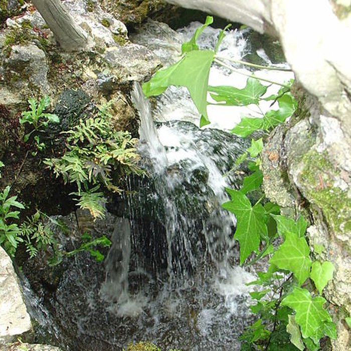 Photo de Parc et Grotte de Majolan à Blanquefort