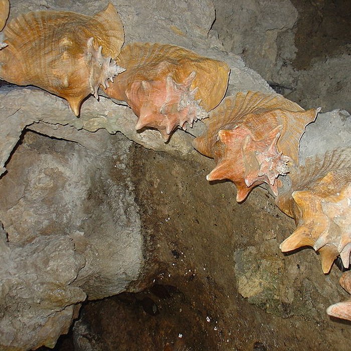 Photo de Parc et Grotte de Majolan à Blanquefort