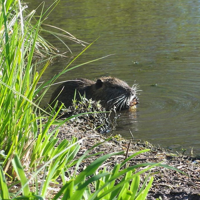 Photo de Parc et Grotte de Majolan à Blanquefort