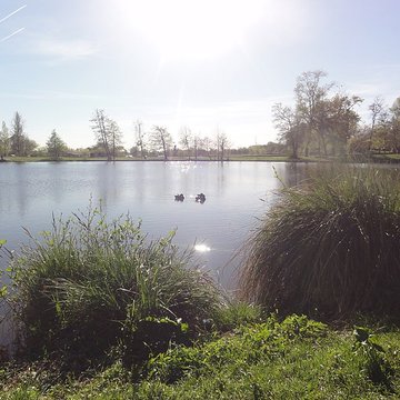 Parc et Grotte de Majolan à Blanquefort