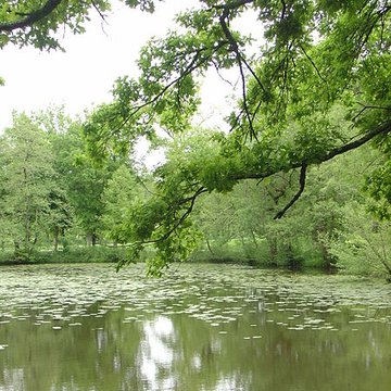 Parc et Grotte de Majolan à Blanquefort