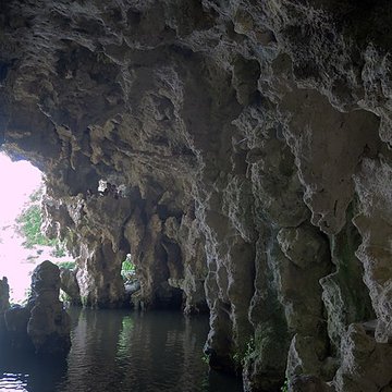 Parc et Grotte de Majolan à Blanquefort