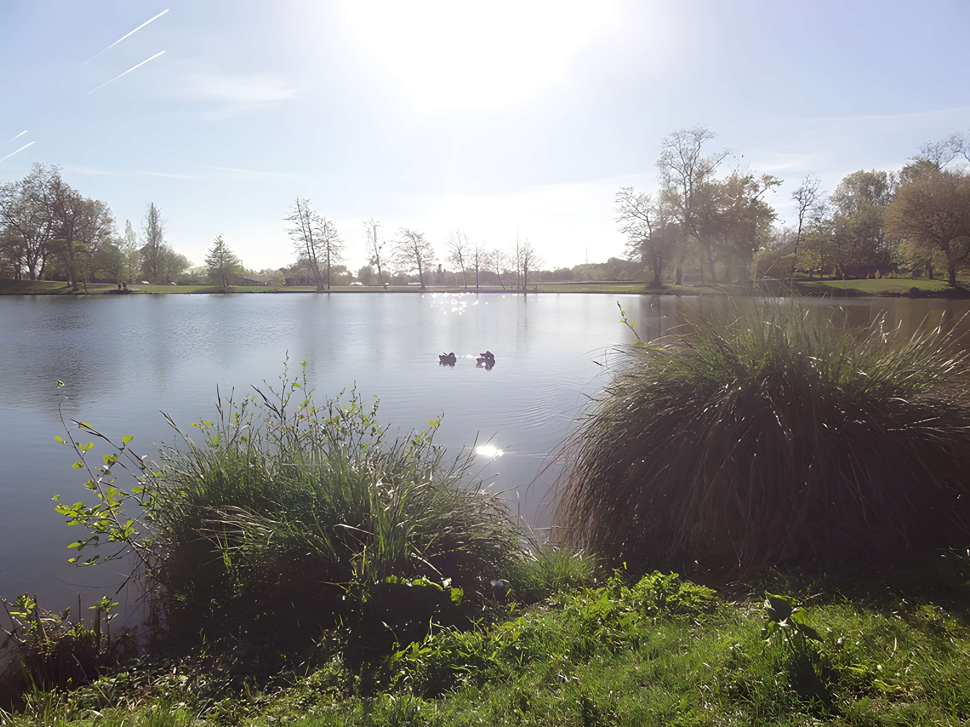 Parc et Grotte de Majolan à Blanquefort