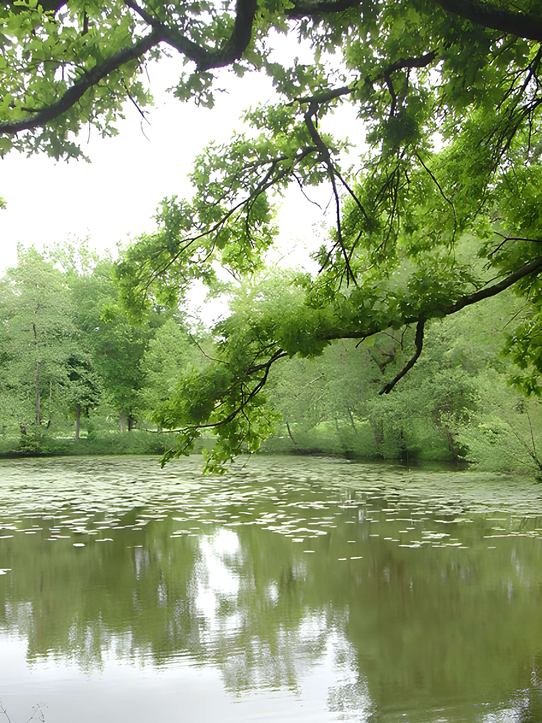 Parc et Grotte de Majolan à Blanquefort