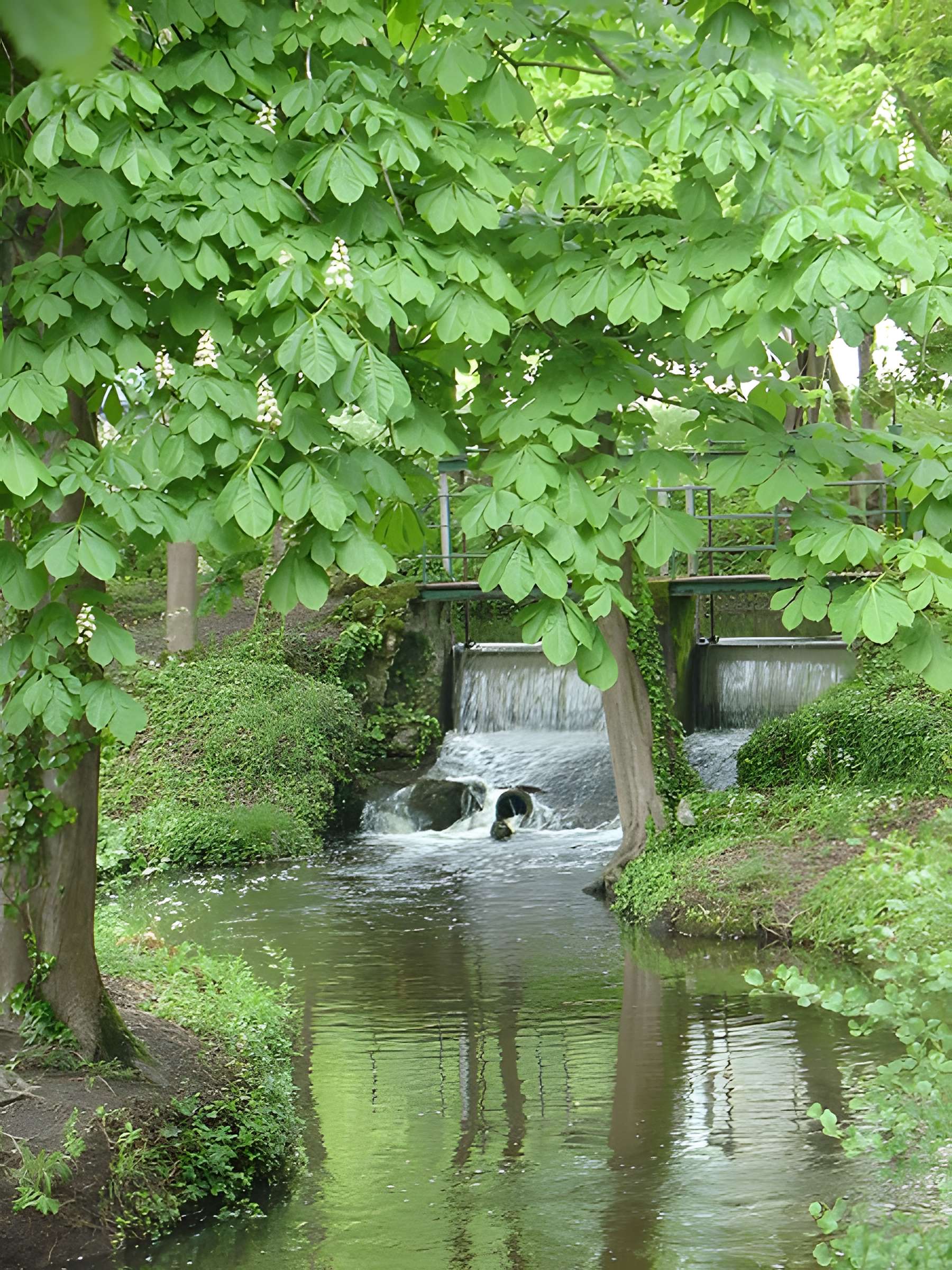 Parc et Grotte de Majolan à Blanquefort