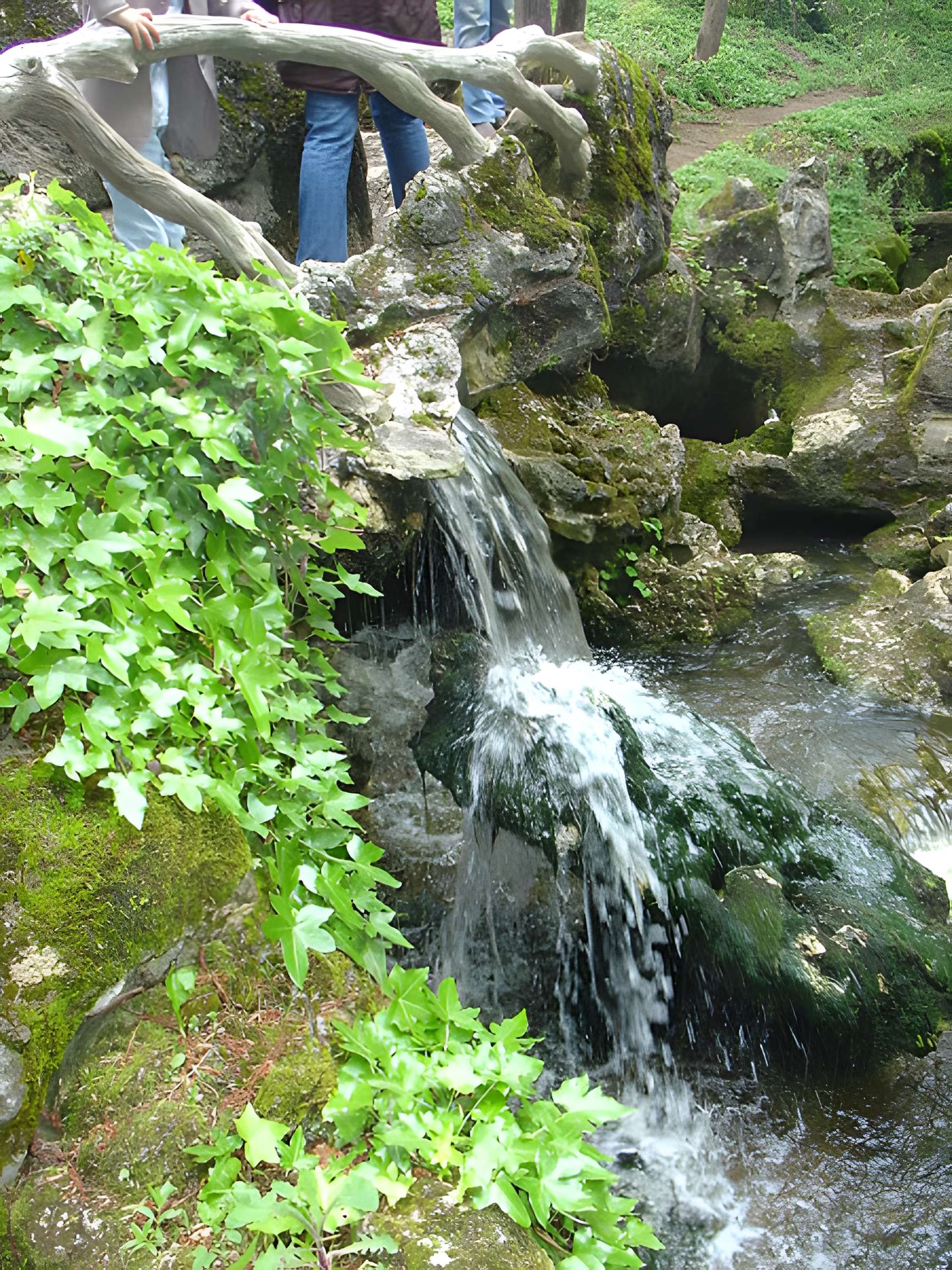 Parc et Grotte de Majolan à Blanquefort