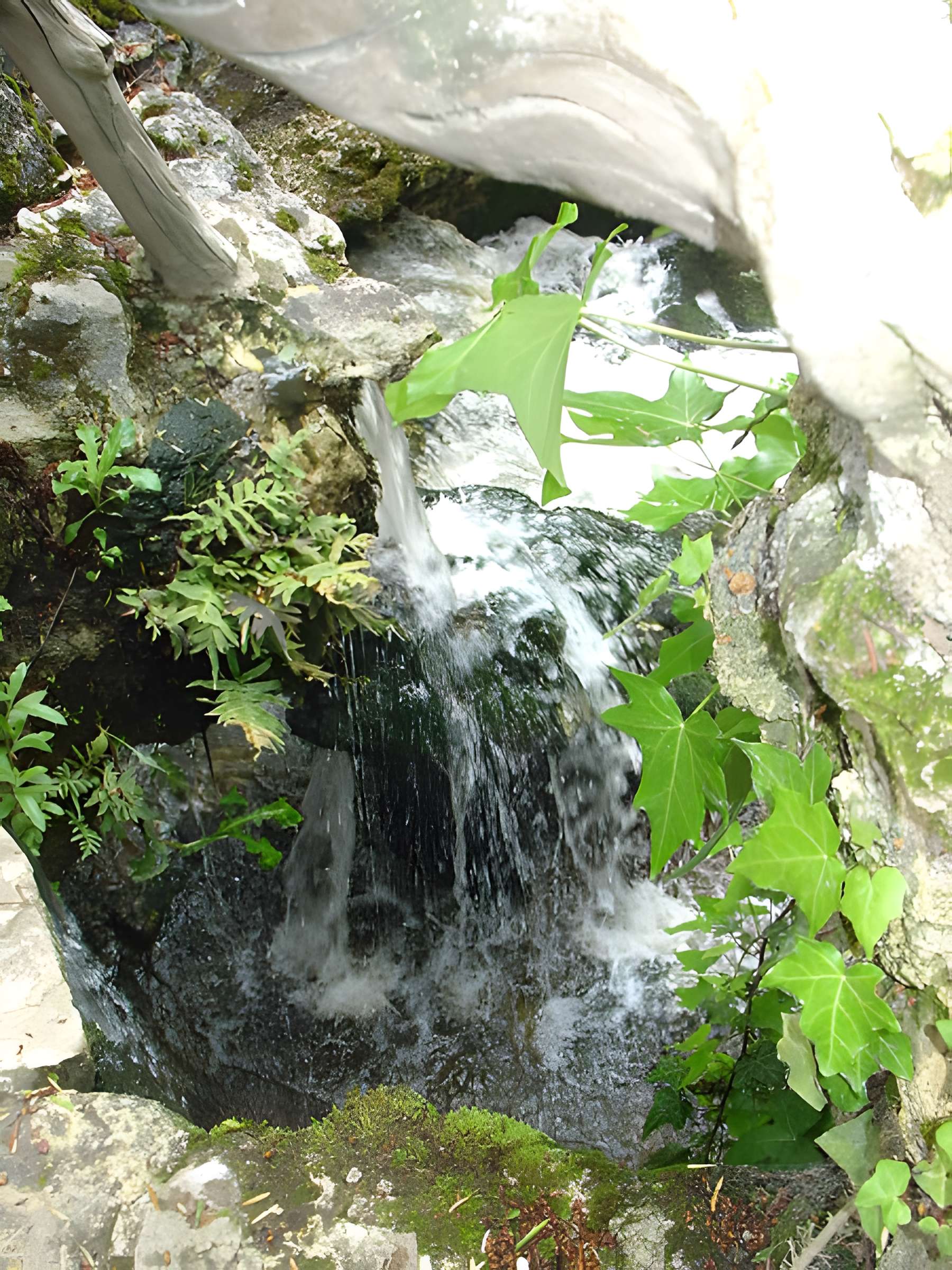 Parc et Grotte de Majolan à Blanquefort