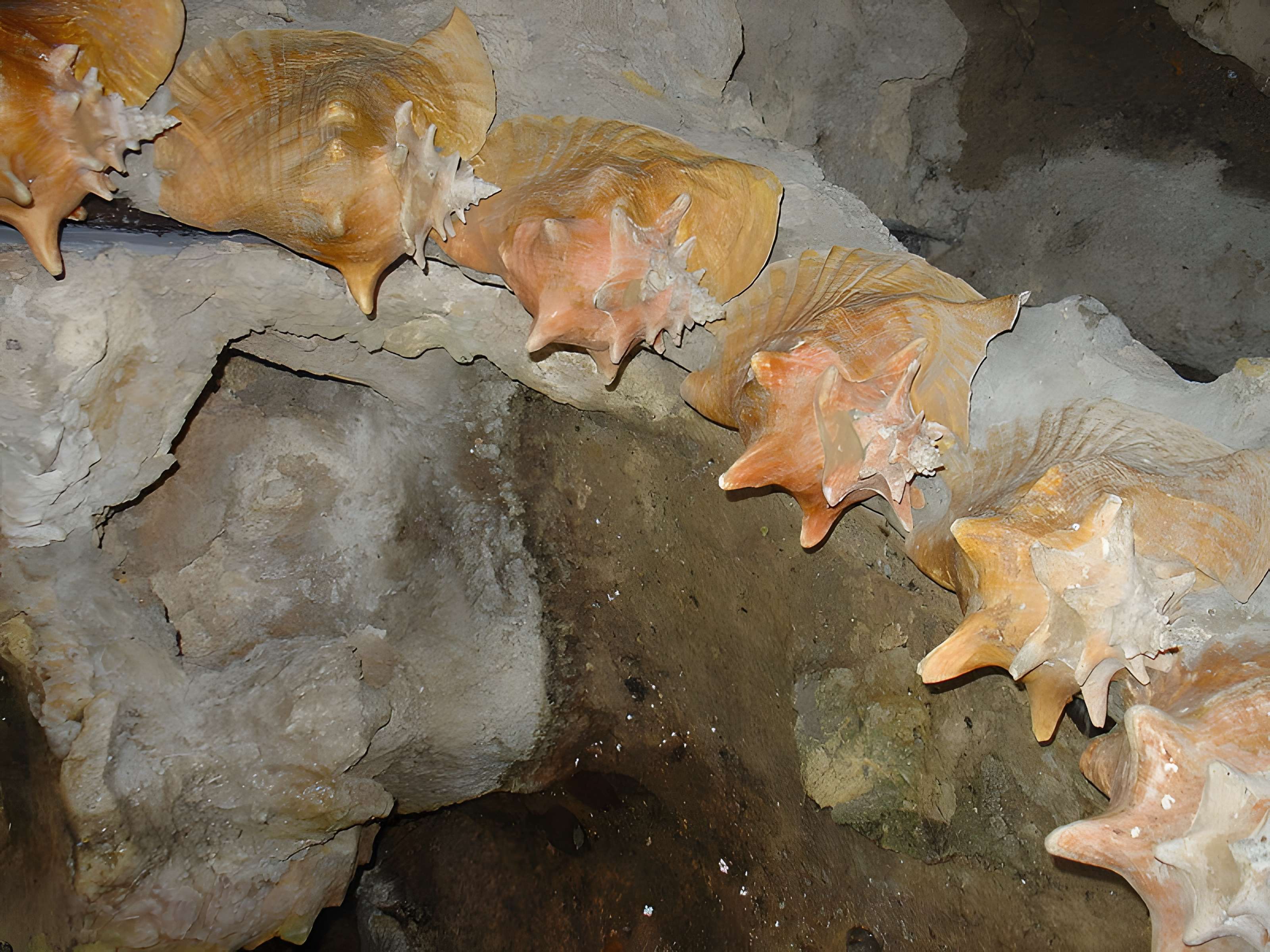 Parc et Grotte de Majolan à Blanquefort