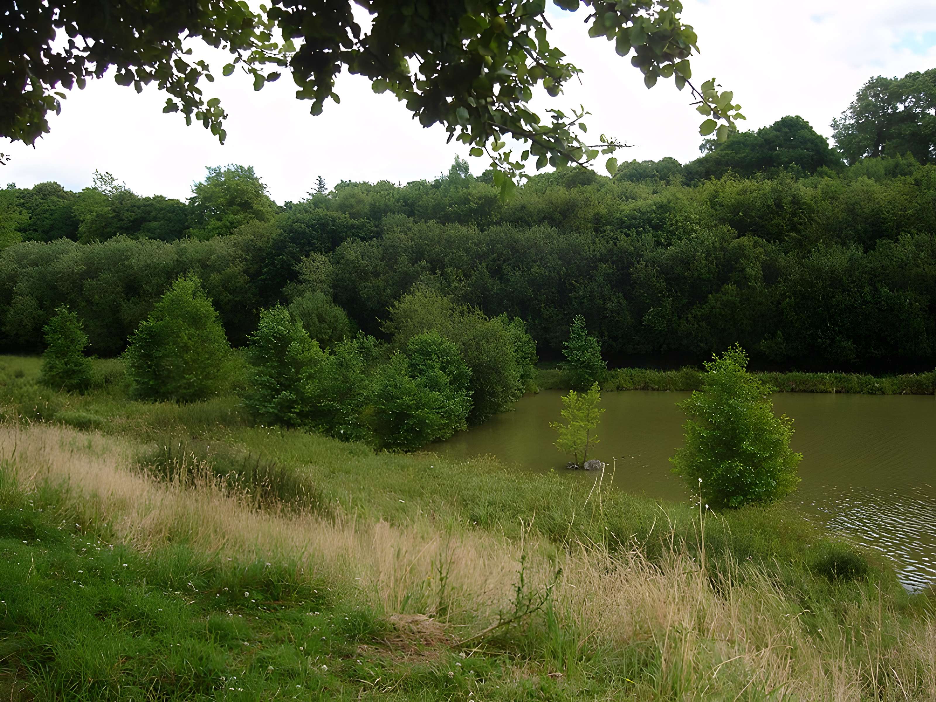 Parc médiéval de l'Évêque de Coutances