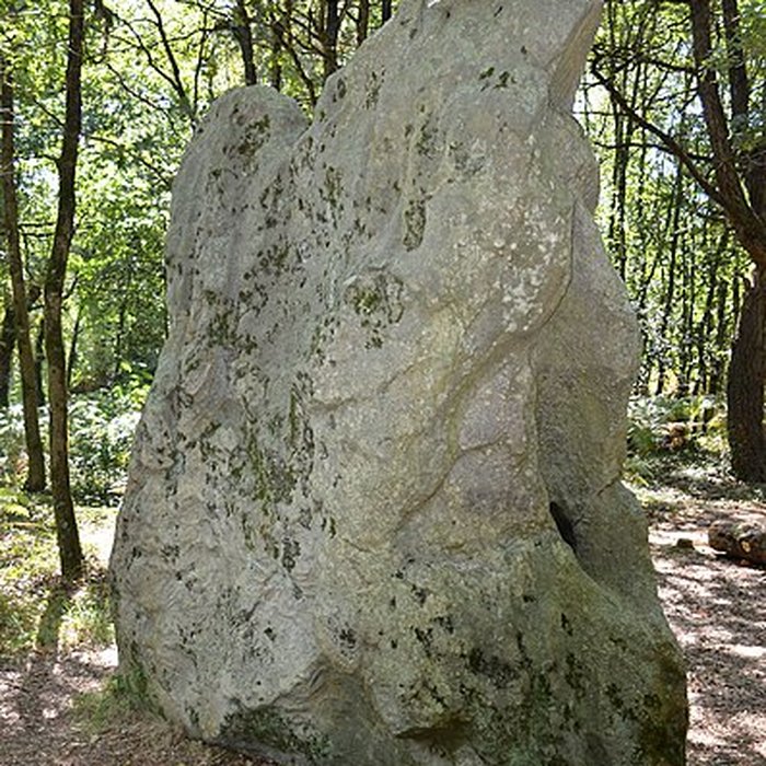 Photo de Menhir dit de Pierre-Levée