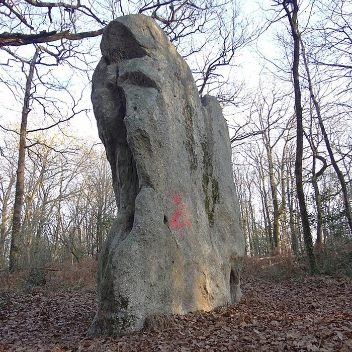 Photo de Menhir dit de Pierre-Levée