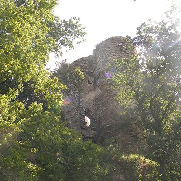 Château