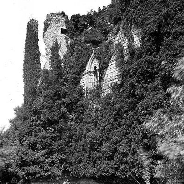 Photo de Château restes