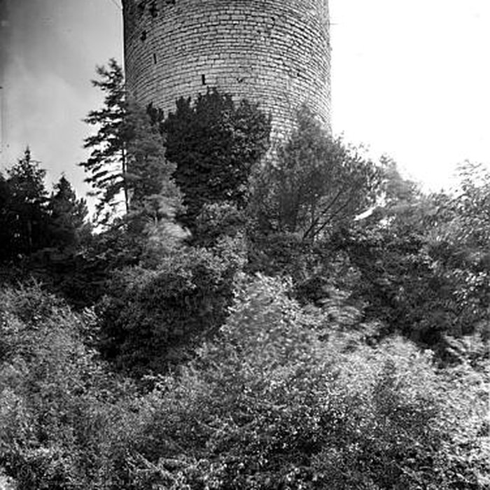 Photo de Château restes