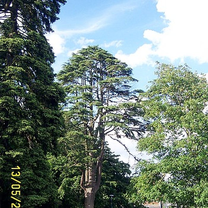 Photo de Manufacture darmes, actuellement Musée de lautomobile