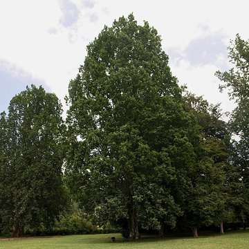 Abbaye de LEscaladieu