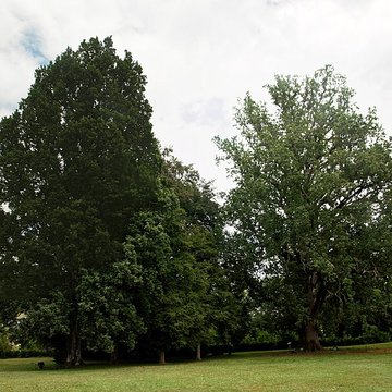 Abbaye de LEscaladieu