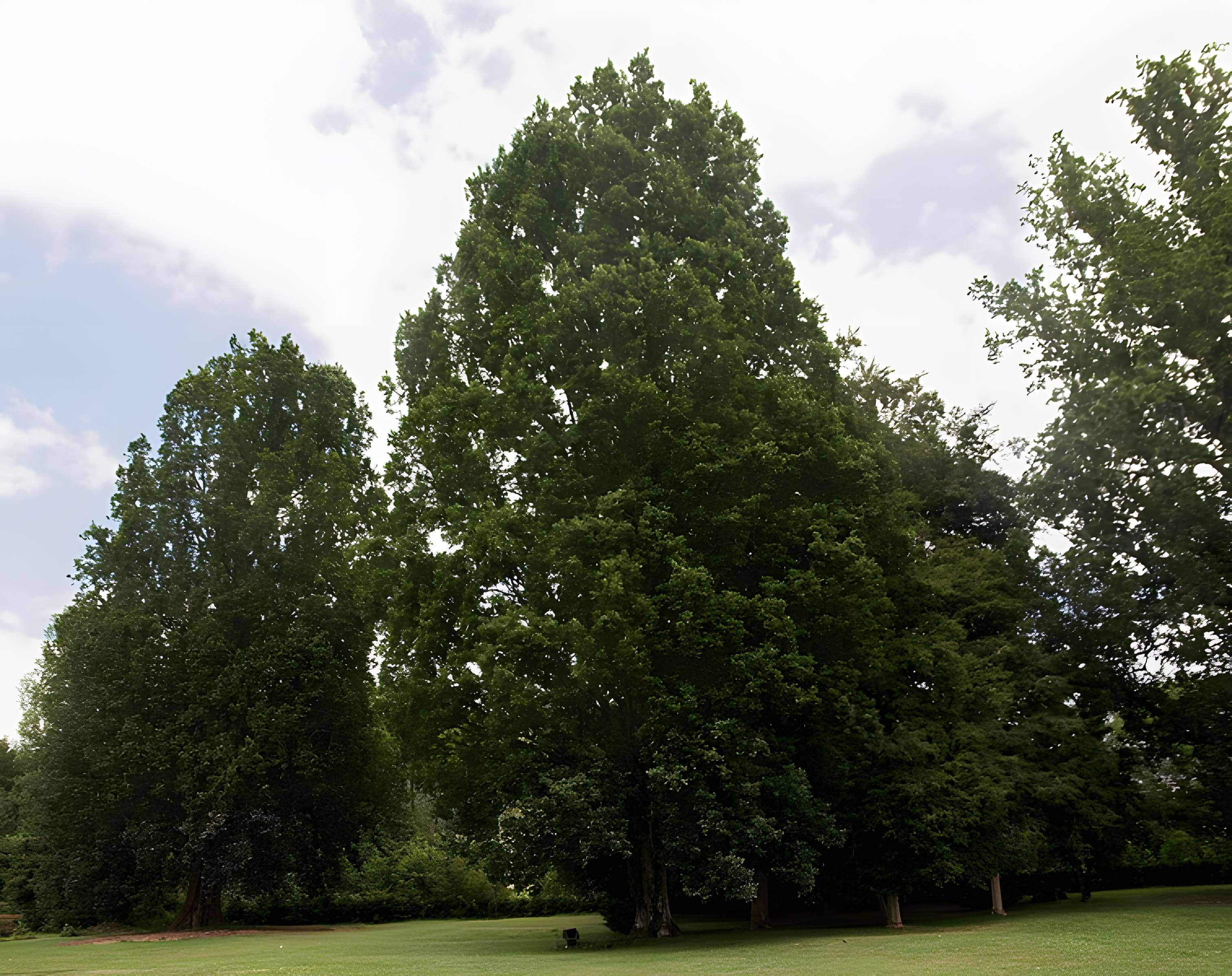 Abbaye de L'Escaladieu