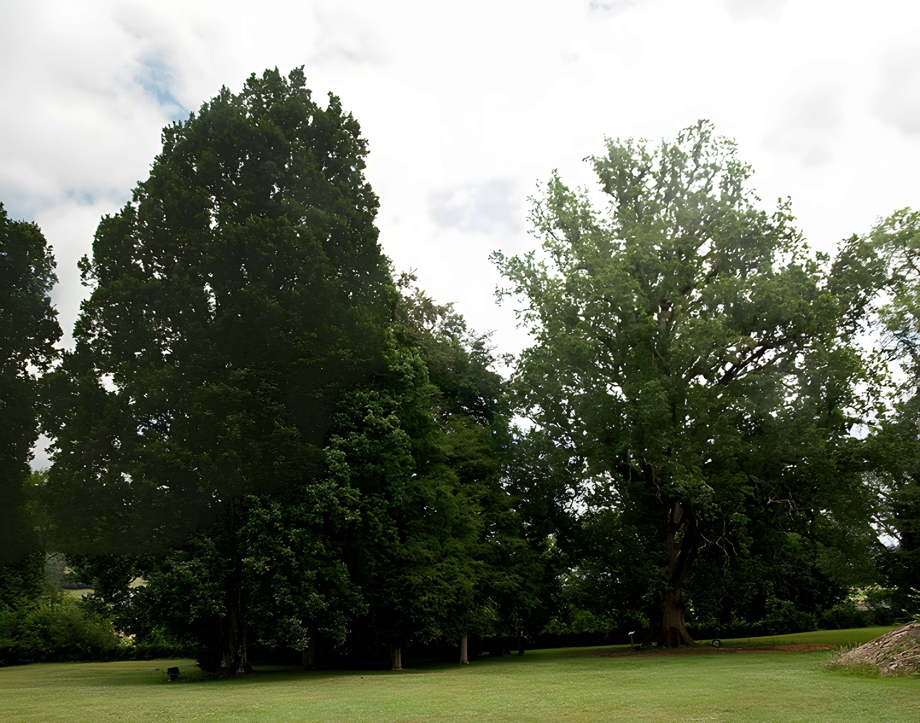 Abbaye de L'Escaladieu