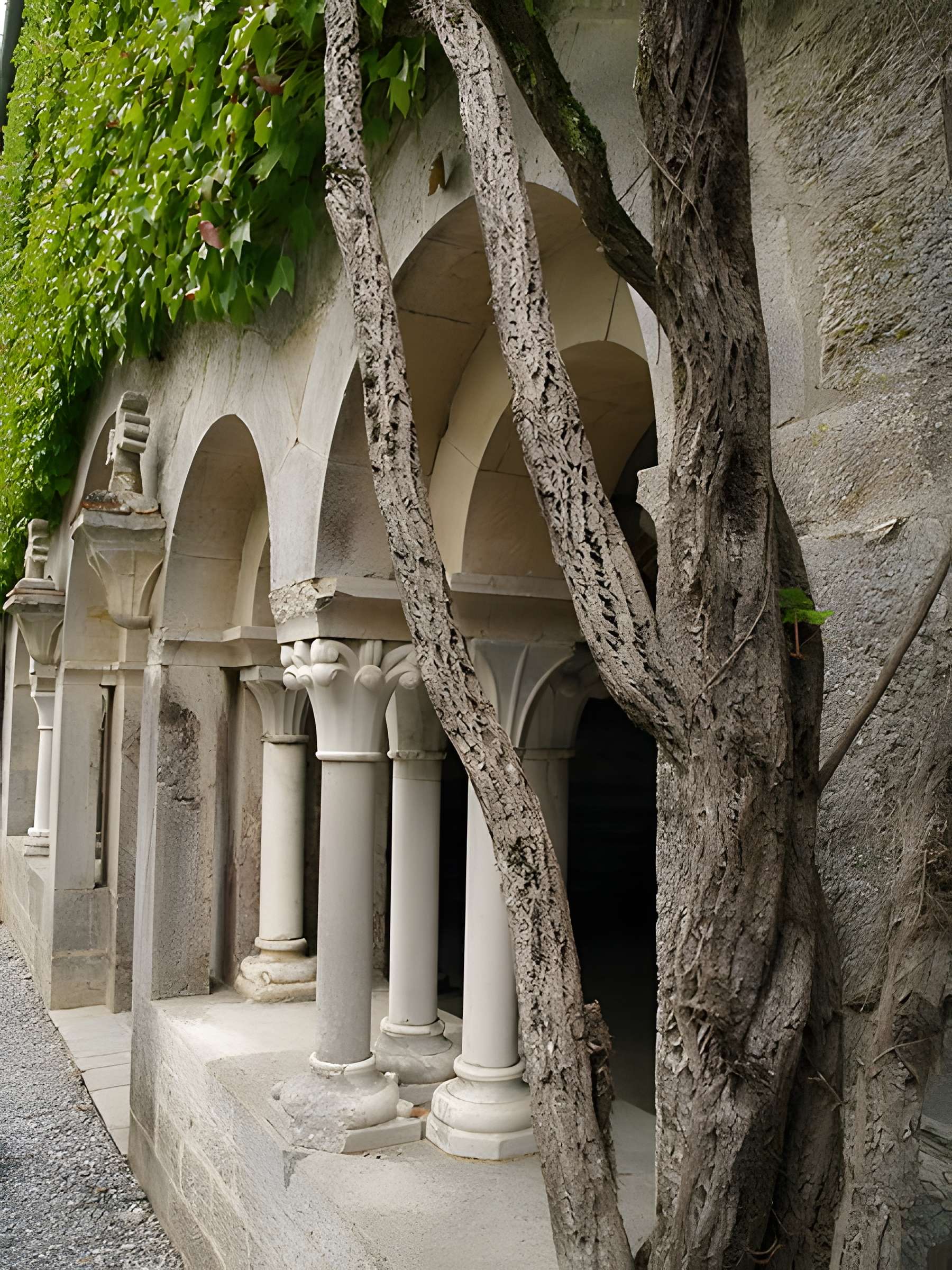 Abbaye de L'Escaladieu