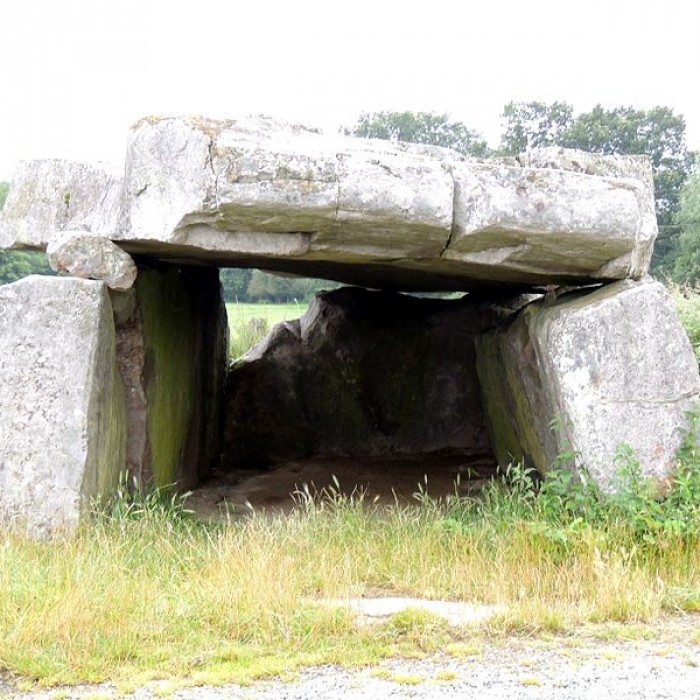 Photo de Pierre couverte de Duneau