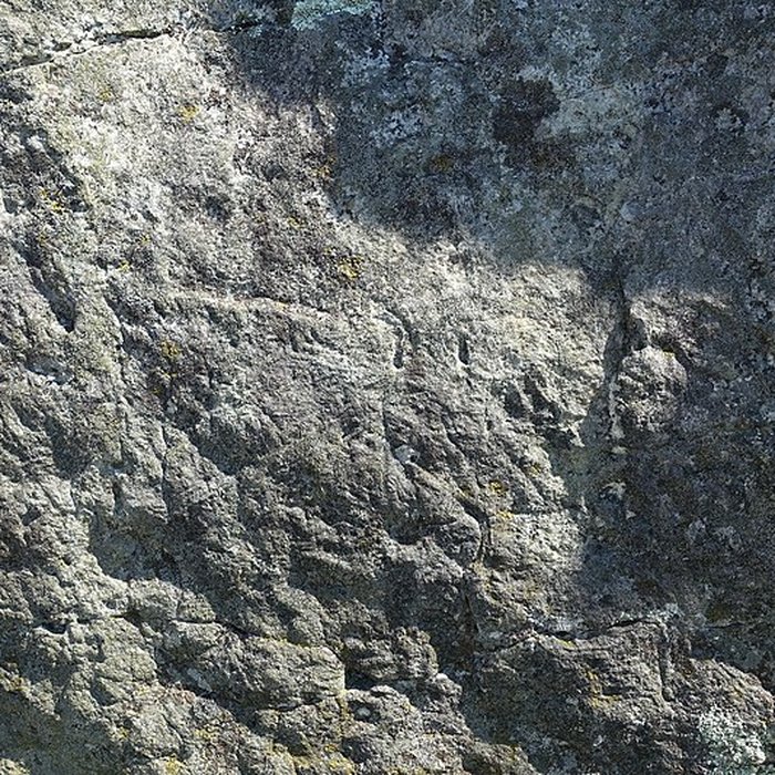 Photo de Pierre couverte de Duneau