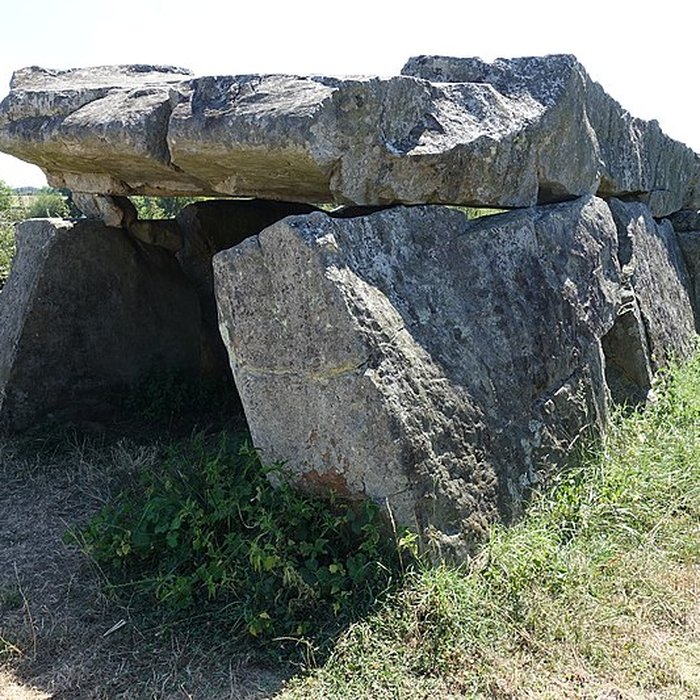 Photo de Pierre couverte de Duneau
