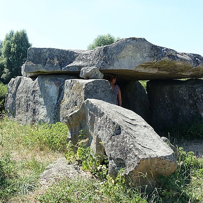 Photo de Pierre couverte de Duneau