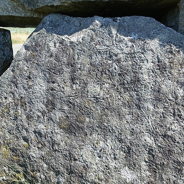 Photo de Pierre couverte de Duneau