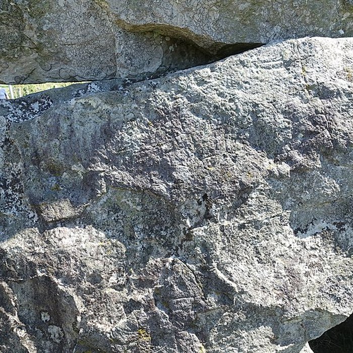 Photo de Pierre couverte de Duneau