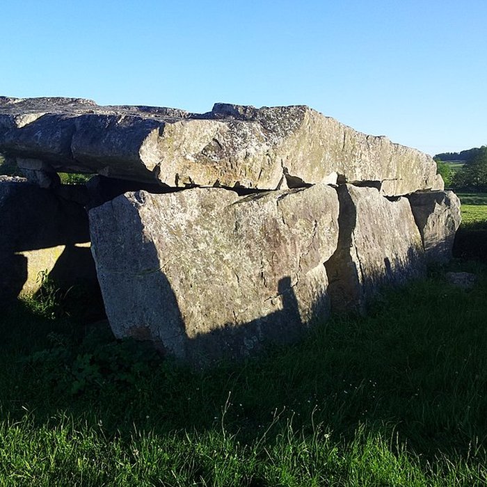 Photo de Pierre couverte de Duneau