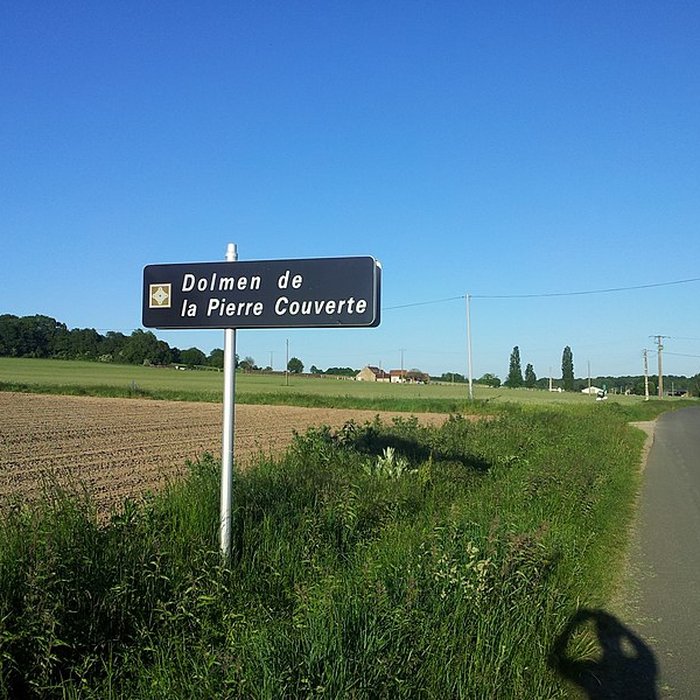 Photo de Pierre couverte de Duneau