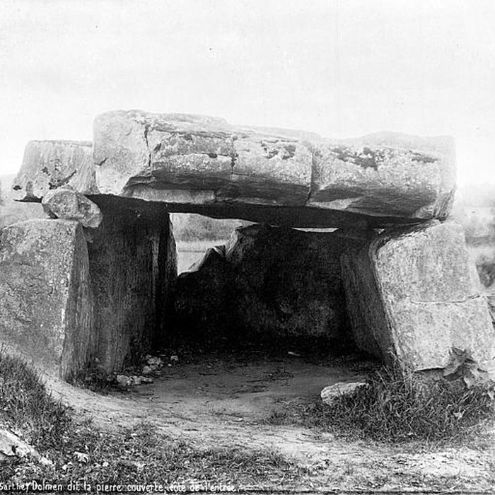 Photo de Pierre couverte de Duneau