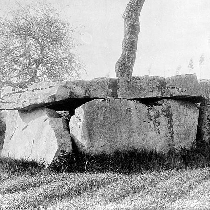 Photo de Pierre couverte de Duneau