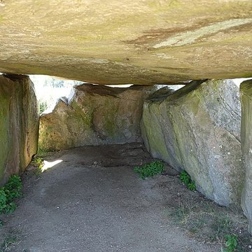 Pierre couverte de Duneau