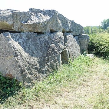 Pierre couverte de Duneau