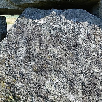 Pierre couverte de Duneau