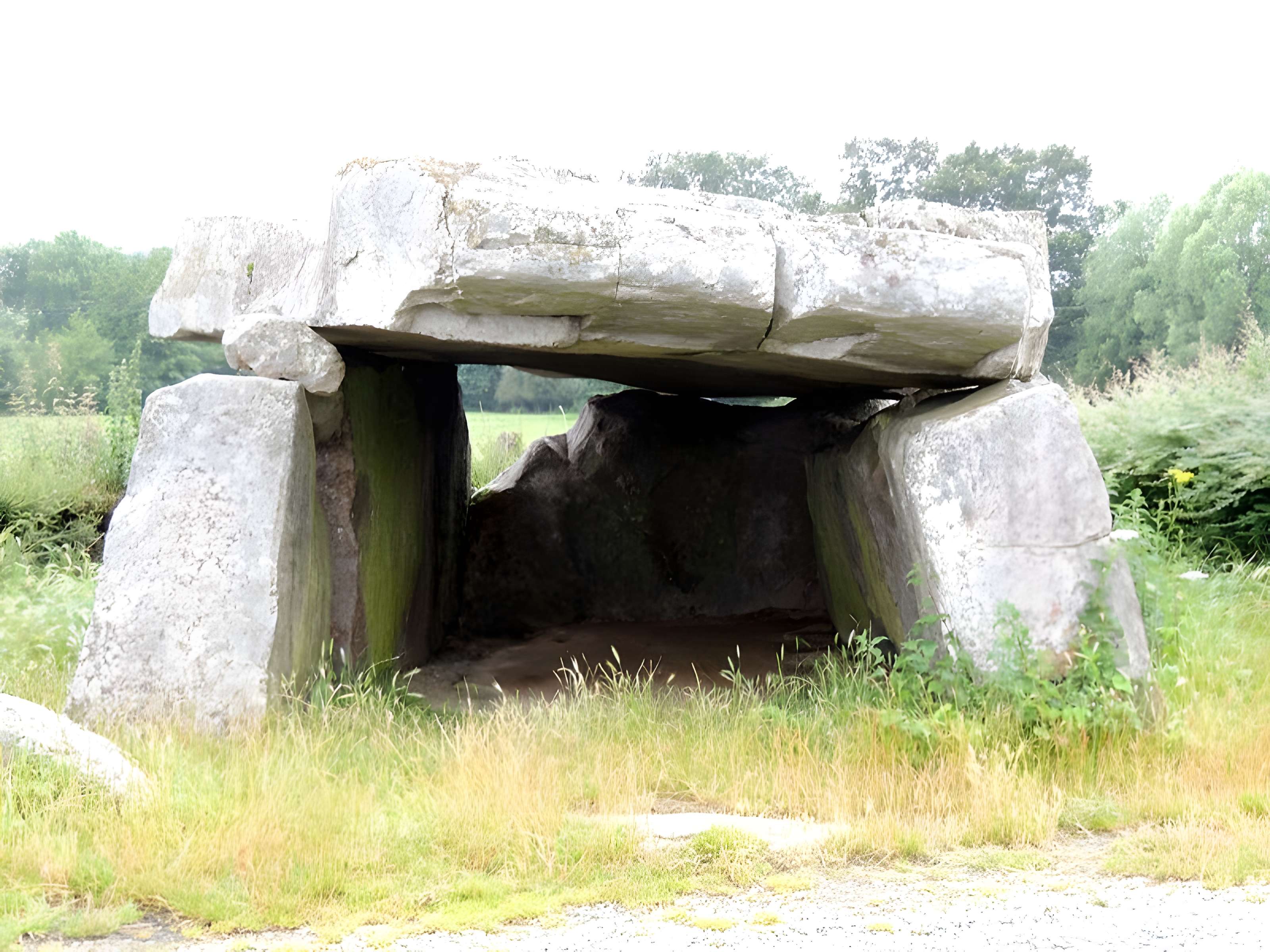 Pierre couverte de Duneau 