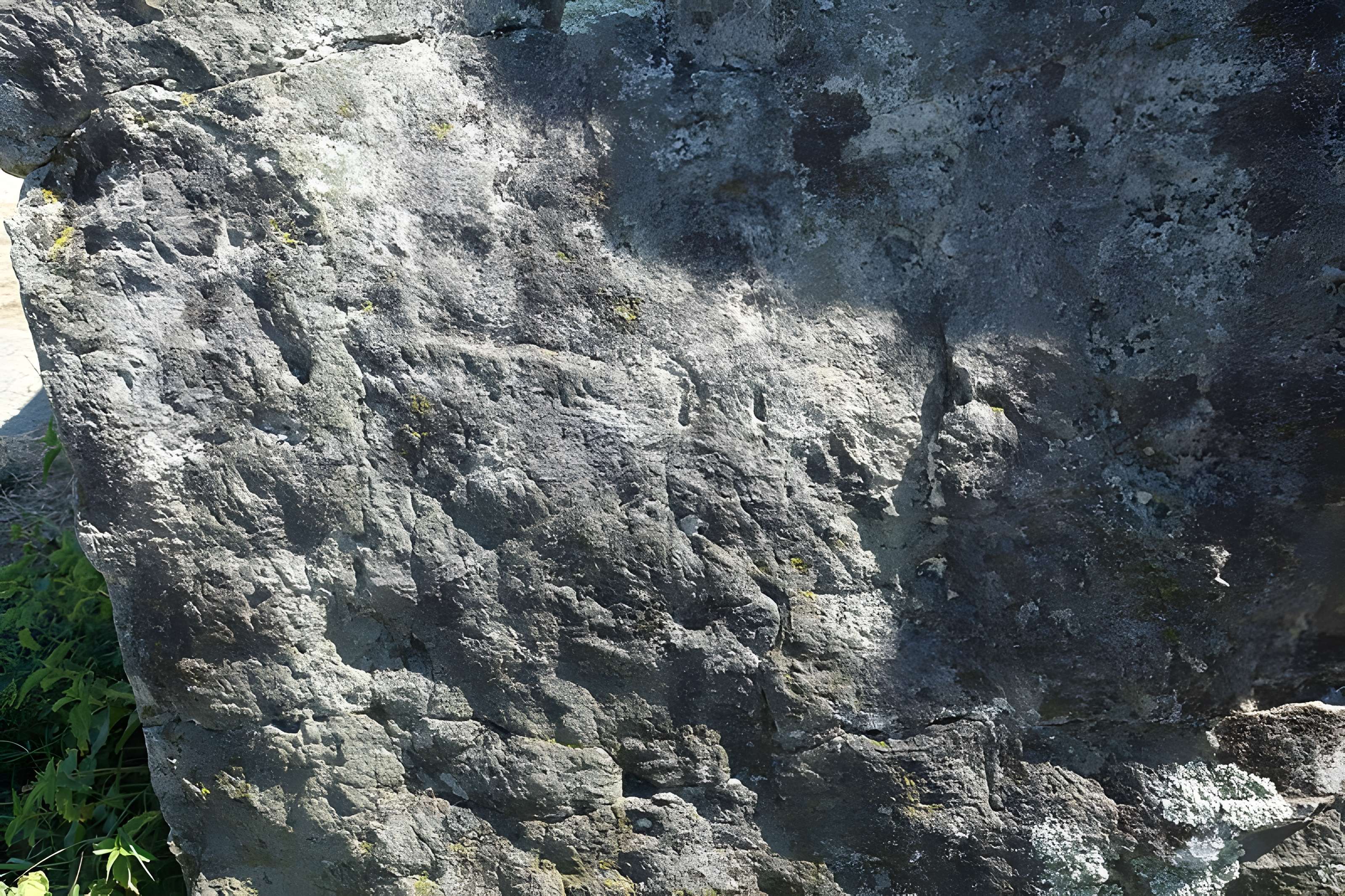 Pierre couverte de Duneau