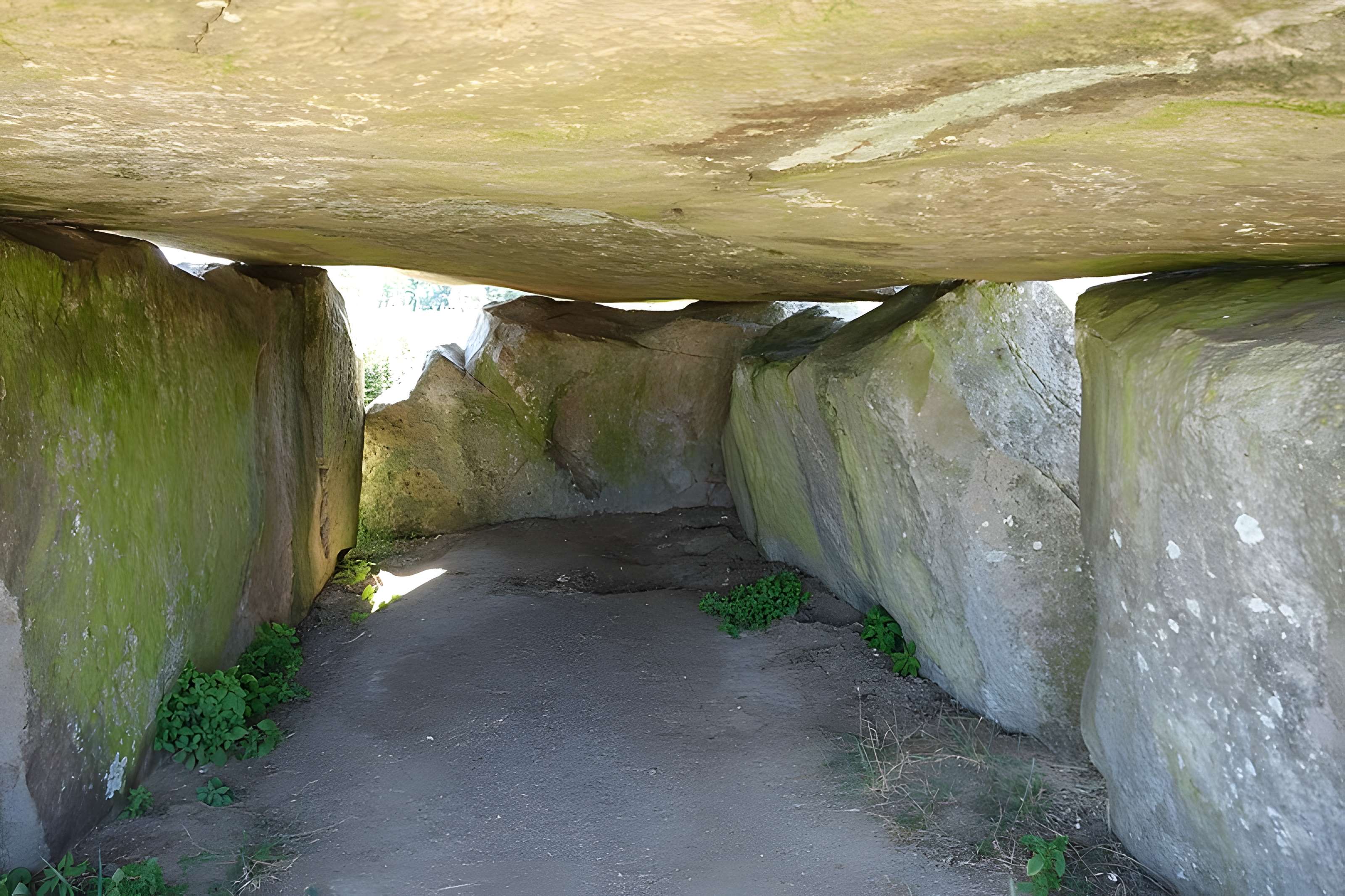 Pierre couverte de Duneau