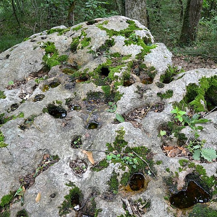 Photo de Dolmen