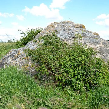Dolmen de Bernazay en grès