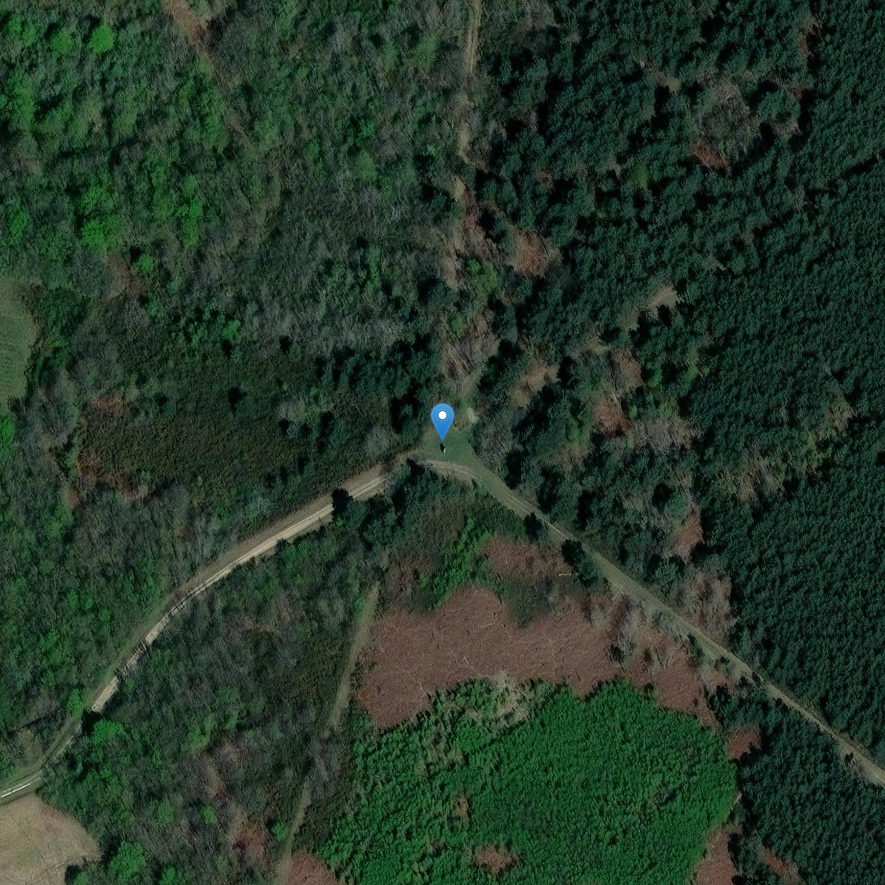 Menhir dit La Pierre-Levée-de-Courçu