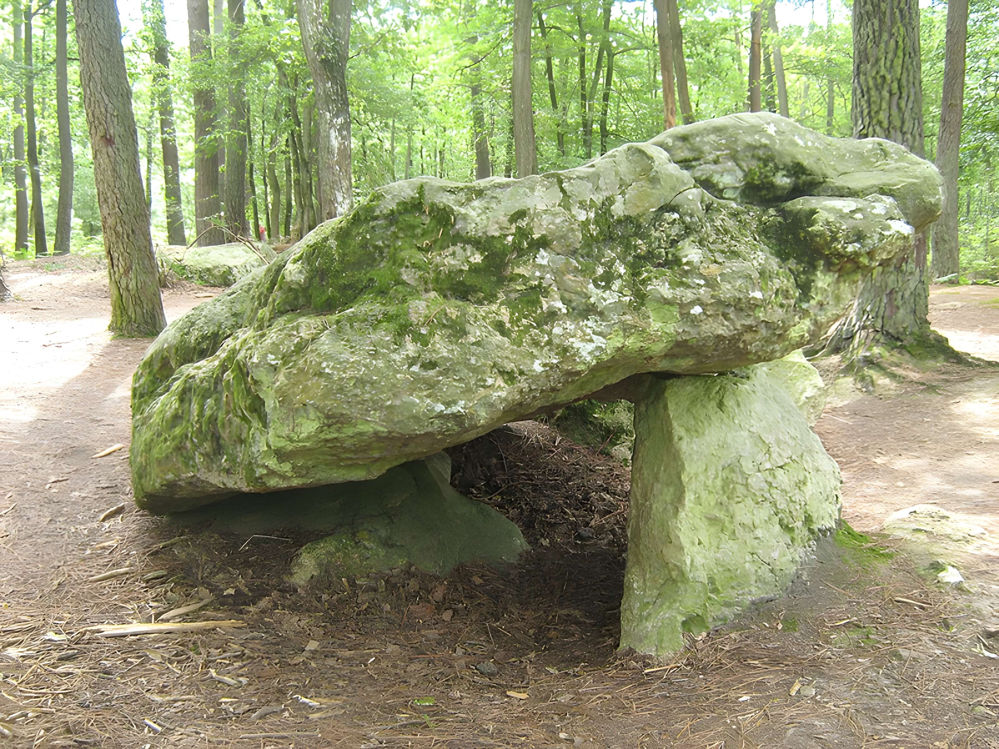 Pierre procureuse de Saint-Cyr-la-Rosière